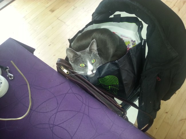 Herbert klar til at tage til patchwork